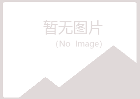 汝州夏岚化学有限公司